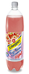 Schweppes fruits rouges et cramberry light 