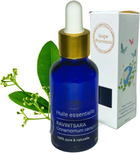 Huile Essentielle de Ravintsara 10 ml (chémotypée Cinnamomum camphora), 100% Pure et Naturelle, soulage les douleurs et lutte contre la fatigue