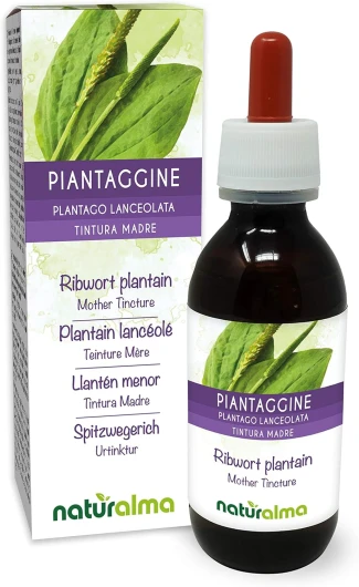 Plantain lancéolé (Plantago lanceolata) feuilles Teinture Mère sans alcool Naturalma - Extrait liquide gouttes 120 ml - Complément alimentaire - Végétalien ou végan Sans alcool 120 ml (Lot de 1)