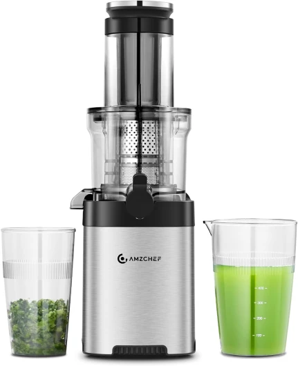 Extracteur de Jus de Fruits et Légumes Slow Juicer Presse à Froid Machine avec moteur silencieux/tasse à jus/brosse de nettoyage/adapté à tous les Fruits et Légumes (Gris) 79MM Argent