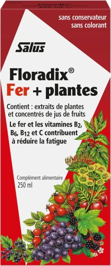 Floradix® Fer + Plantes - Formule Liquide Anti-Fatigue Riche en Fer - Enrichi en Vitamine C pour une Bonne Absorption - 250 ml