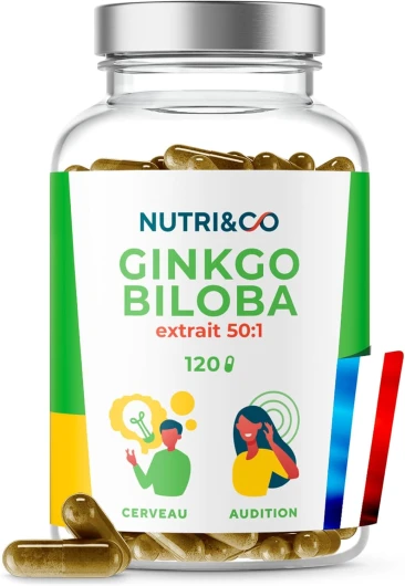 NUTRI & CO Ginkgo Biloba Extra Fort 6000mg - Extrait 50:1-120 gélules - Qualité Supérieure - Stimulant Cognitif Mémoire Concentration & Audition - Vegan - Fabriqué en France