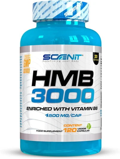 HMB 3000-3000mg de HMB Supplément Capsules avec Vitamine B6 - HMB Capsules - HMB Pure - Supplément HMB - 120 Capsules Vegan