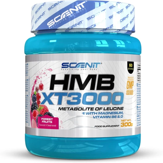 HMB XT 3000-3000 mg de HMB Musculation poudre avec saveur - HMB Poudre avec Glutamine, Magnésium, Vitamine B6 et Vitamine D - Saveur fruits des bois