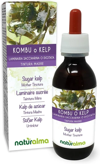 Laminaire sucrée ou Kombu (Laminaria saccharina ou L - digitata) thalle (algue) Teinture Mère sans alcool Naturalma - Extrait liquide gouttes 120 ml - Complément alimentaire - Végétalien ou végan