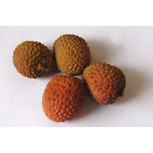 Litchi