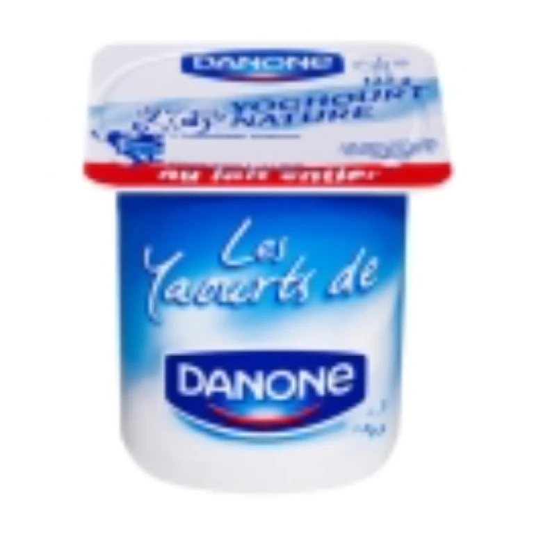 Yaourt danone nature au lait entier 