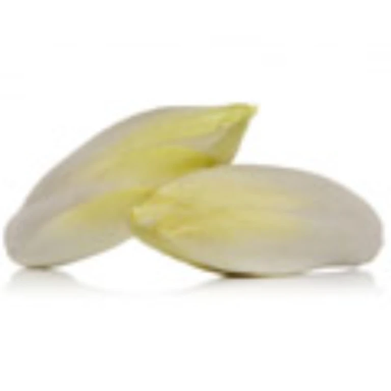 Calories endives