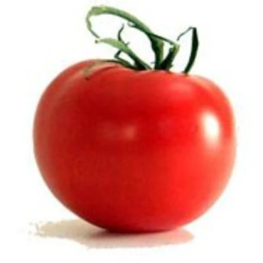 Tomate