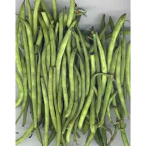 Haricot vert