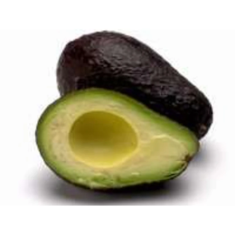 Avocat