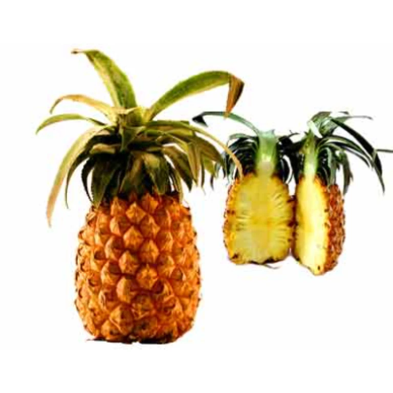 Ananas