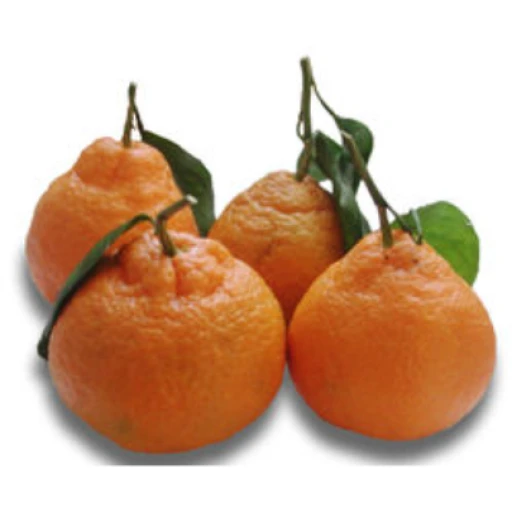 Mandarine