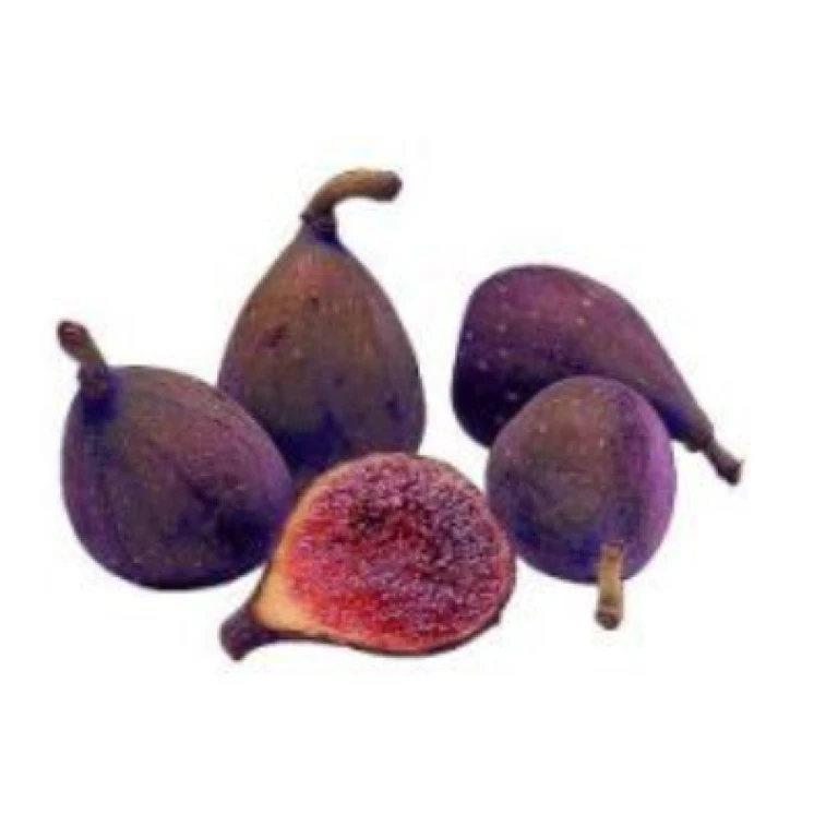 Figues