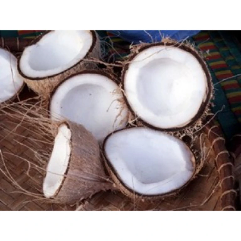 Noix de coco