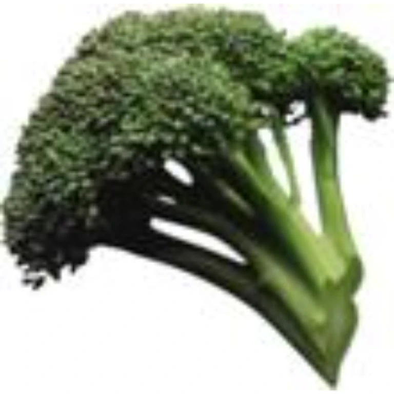 Brocoli