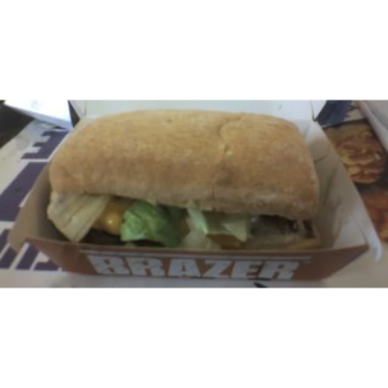 Sandwich brazer kfc