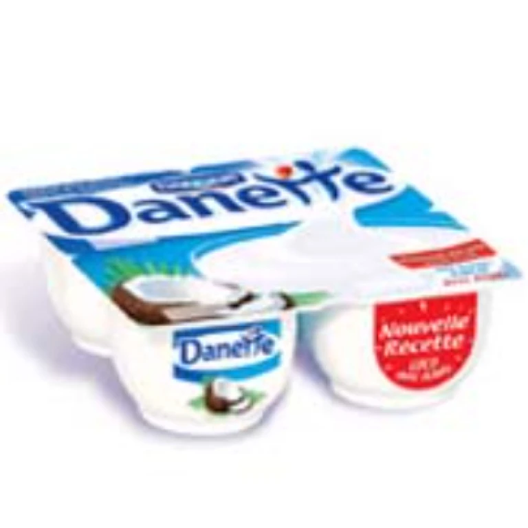 Danette danone crème dessert aux éclats de coco