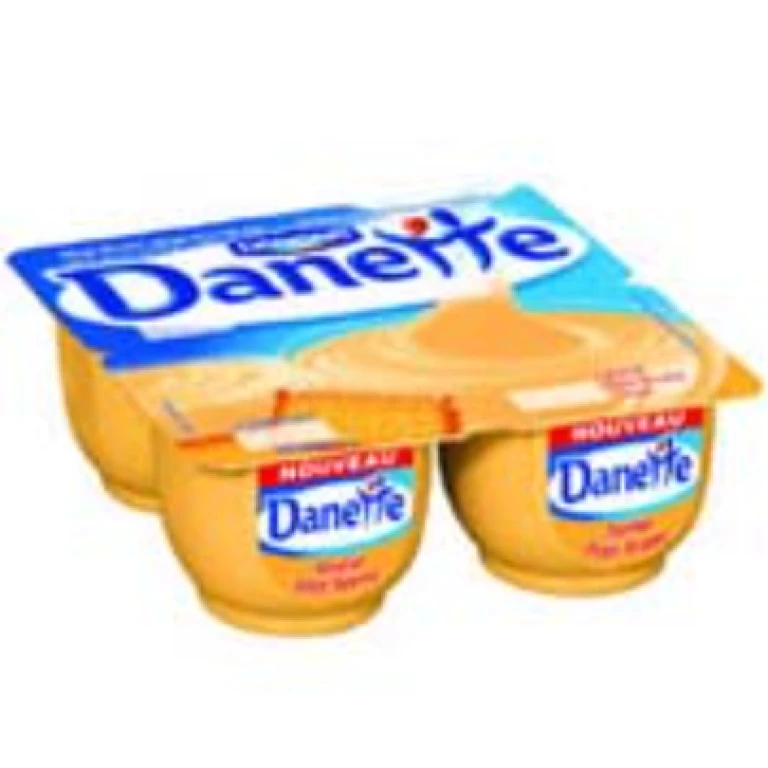 Danette danone crème dessert petit beurre