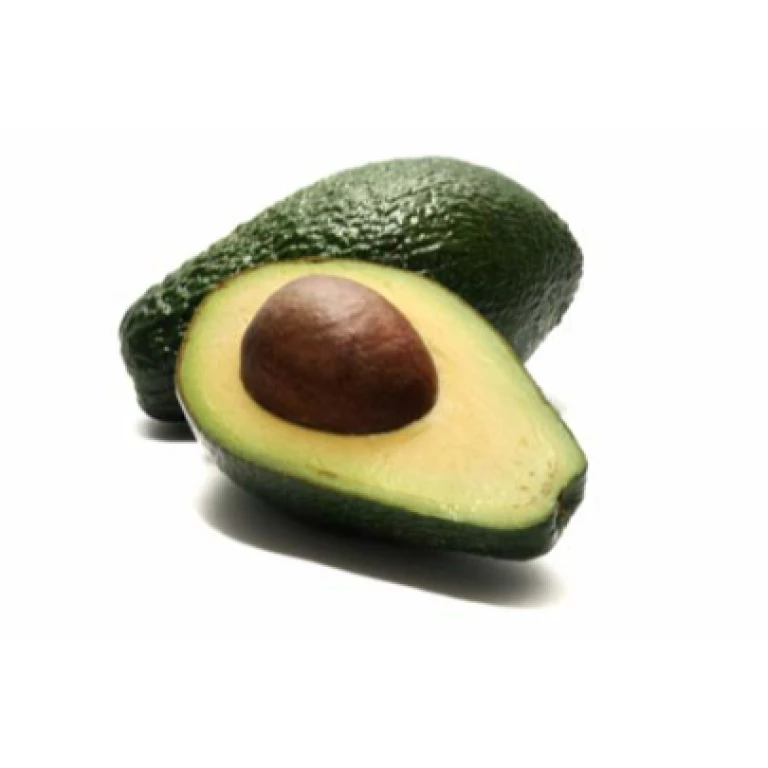 Avocat (une unité)