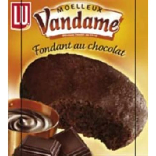 Moelleux fondant au chocolat