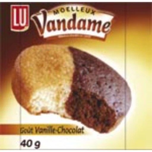 Moelleux vanille-chocolat