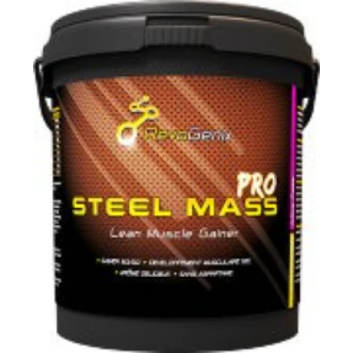 Gainer steel mass pro