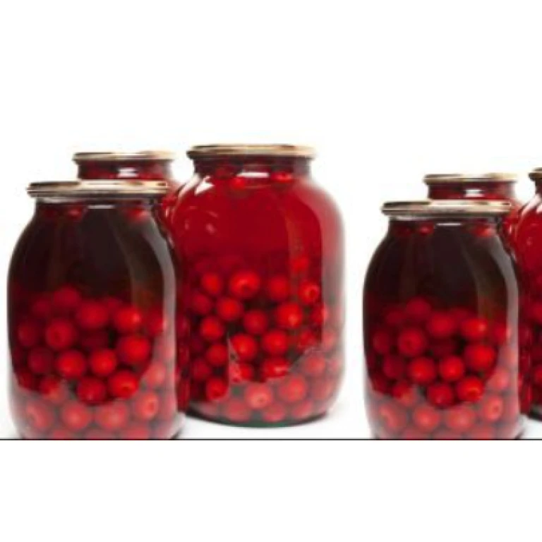 Cerises au sirop