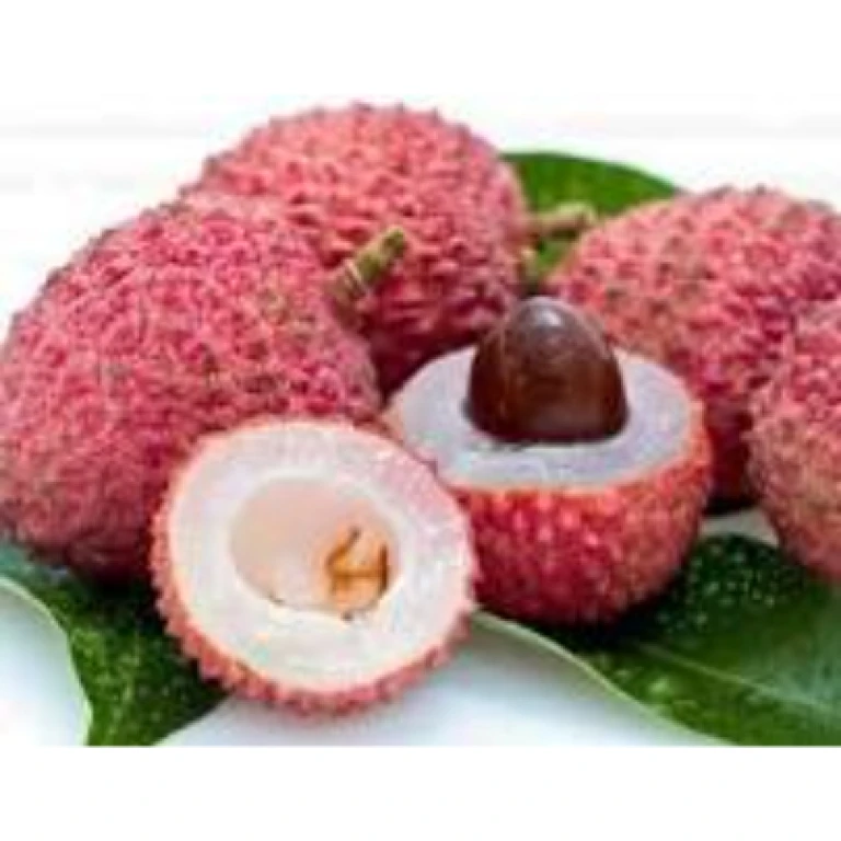 Letchi ou litchi (fruits frais de saison)