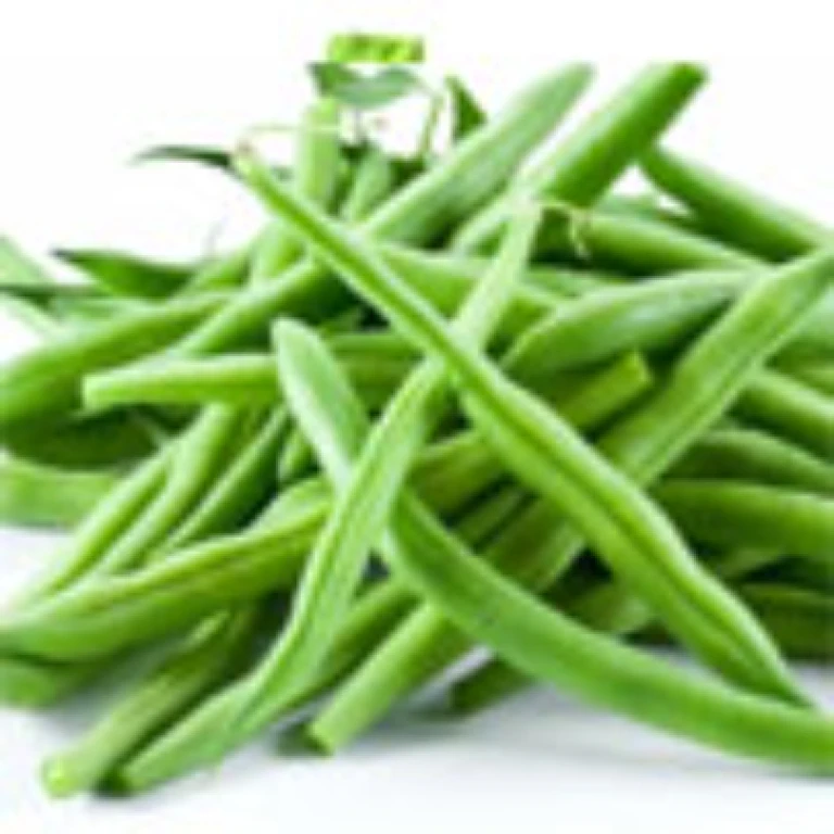 Haricots verts