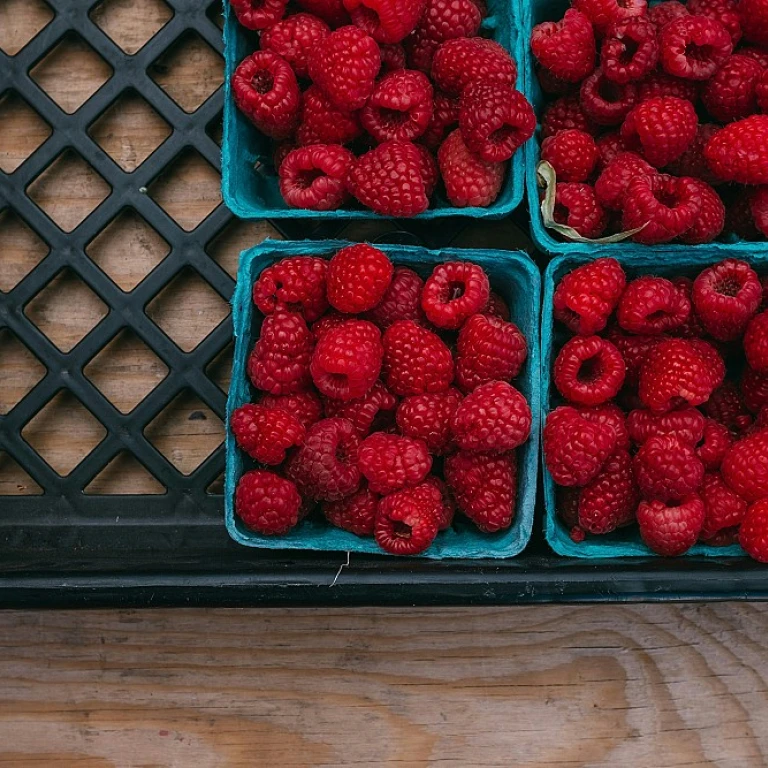 Que faire avec patate douce : idées savoureuses et nutritives