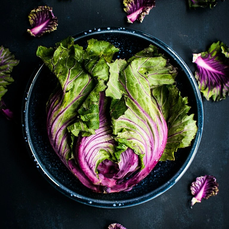 Tarte aux pommes healthy : un délice allégé pour tous les gourmands