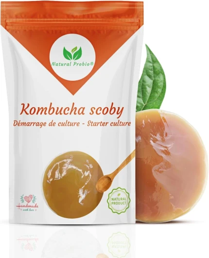 ® Original Kombucha Scoby - Kit de démarrage de Culture - Mere de Kombucha de souche Authentique + Notice complète, Recette et Conseils + Accès Ebook offert