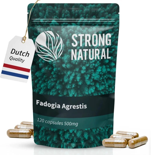 Fadogia Agrestis 10:1 - 1000 mg dose quotidienne - 120 gélules (hautement dosées) - Extrait naturel - Végétalien et testé en laboratoire..