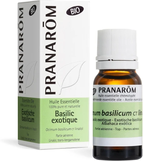 Huile Essentielle Basilic Exotique Bio Ocimum Basilicum Ct Linalol Partie Aérienne HECT 10 ml Basilic 10ml Bio